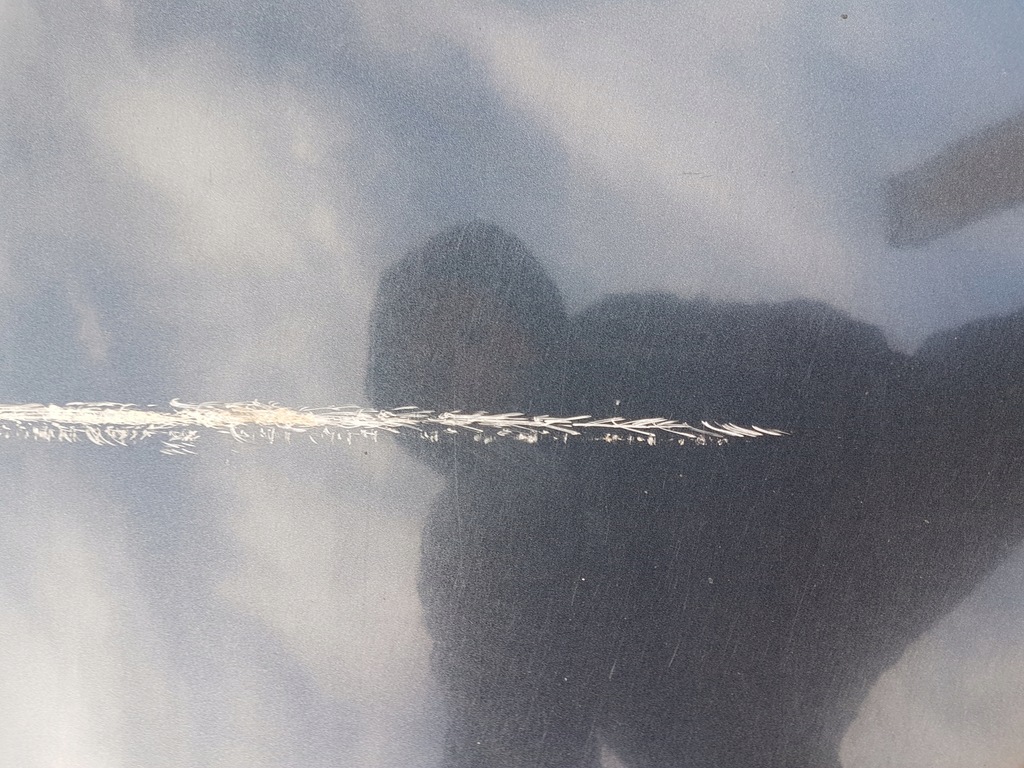 фото №6, Дверь левая задняя citroen c5 iii kombi eypc 2008-2017 кузов голый