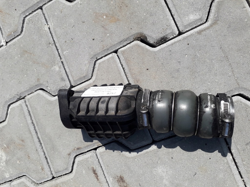 фото №3, Peugeot citroen труба повітрозабірник повітря