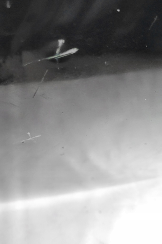 фото №4, Капот audi a6 c6 2004-2011