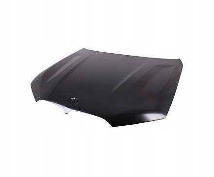 фото №1, Bmw x7 g07 2019 - капот