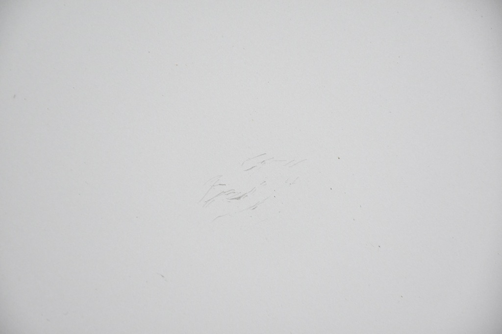 фото №6, Капот кришка двигуна audi a6 c6