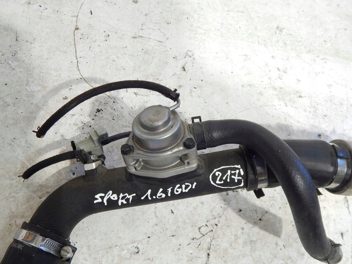 фото №6, Труба інтеркулер kia sportage iv 1.6 tgdi 15-20 4 blow