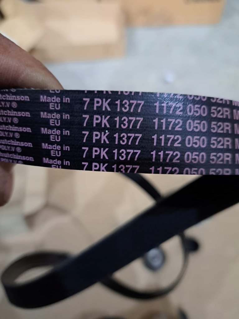 фото №1, Набір ремінь клиновий renault twingo iii 117203942r