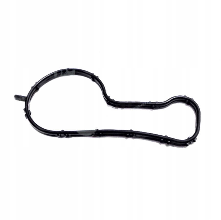 фото №1, Прокладка термостата do ford tourneo connect