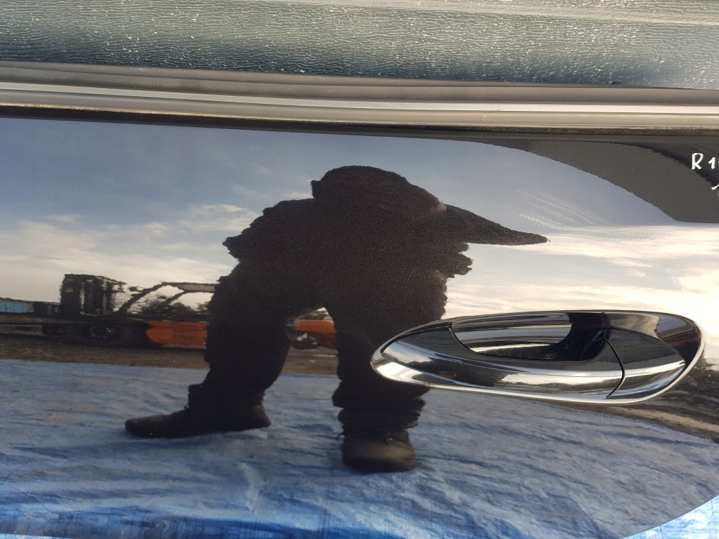 фото №3, Двері ліва mercedes slk r172 w172 c197 197 ff