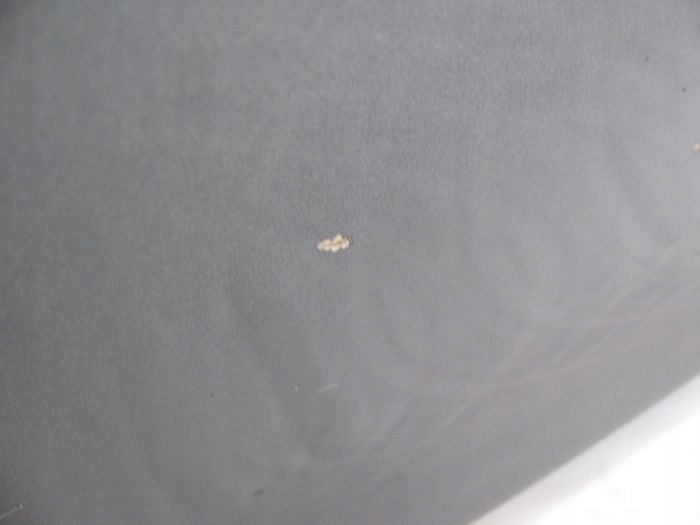 фото №5, Skoda superb ii 2 lift двері передні перед праве