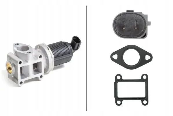 Купити Клапан egr agr 6nu 010 171-401 hella