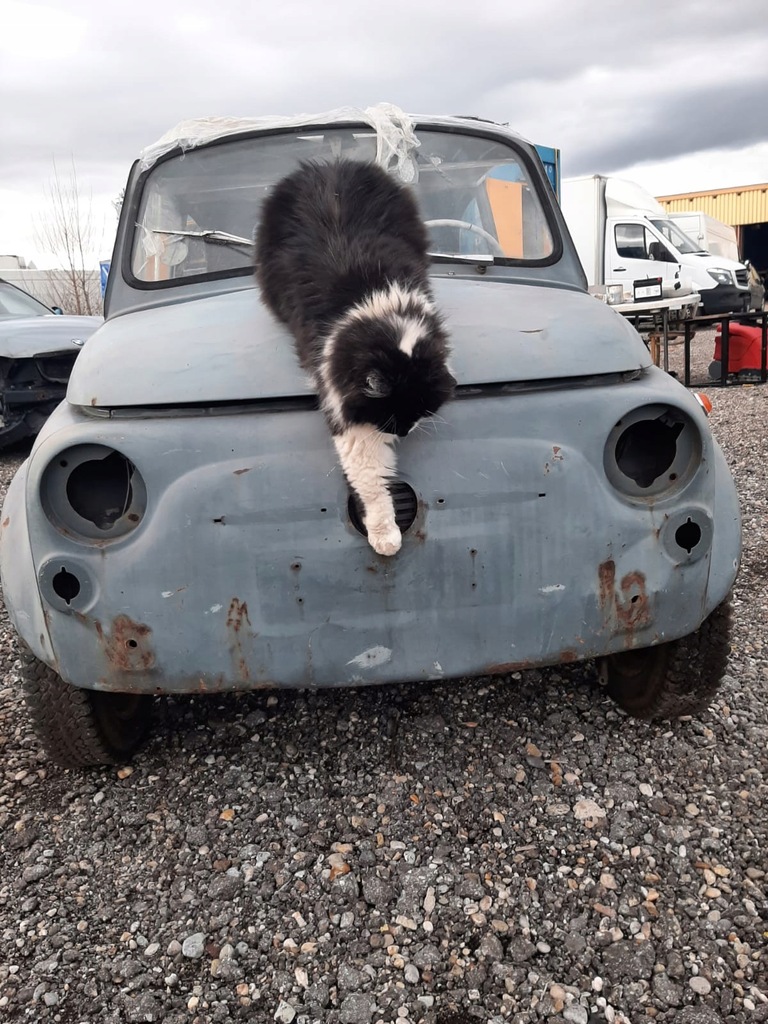 фото №3, Скло передня fiat 500 f l r weteran