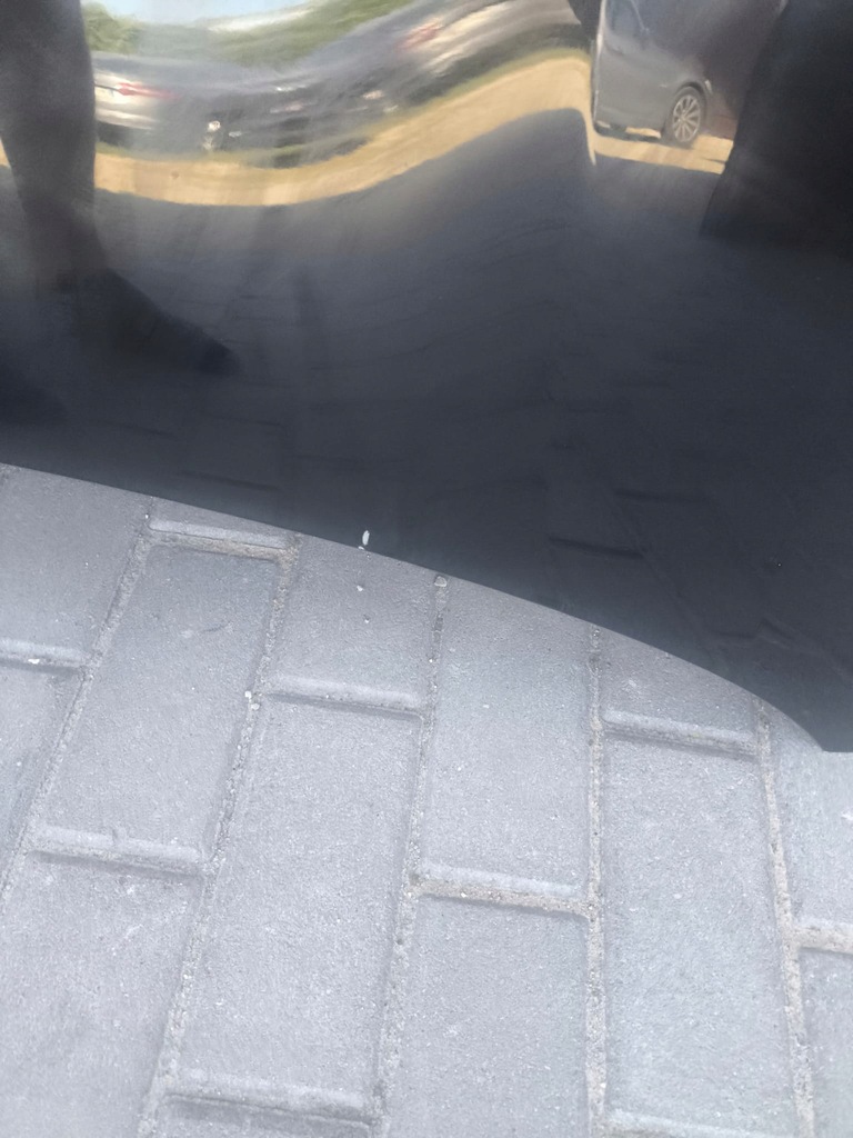 фото №5, Капот renault clio v