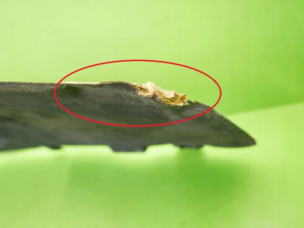 фото №14, Шумоизоляция крышки двигателя p 208