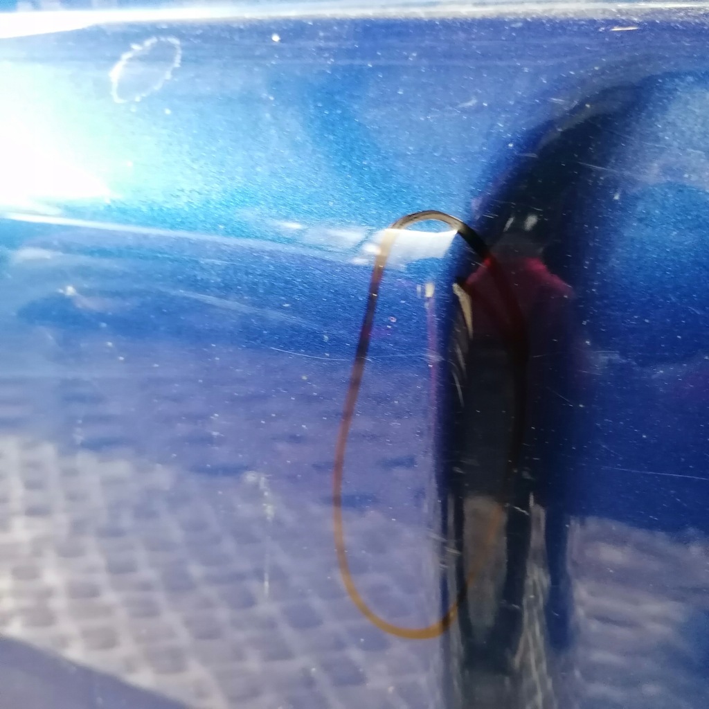 фото №5, Kia sportage ii двері праве перед k6