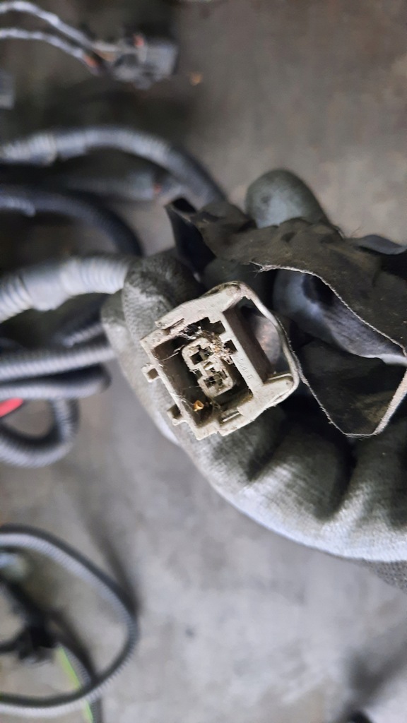 фото №11, Электропроводка жгут двигателя volvo s60 2.4 d5