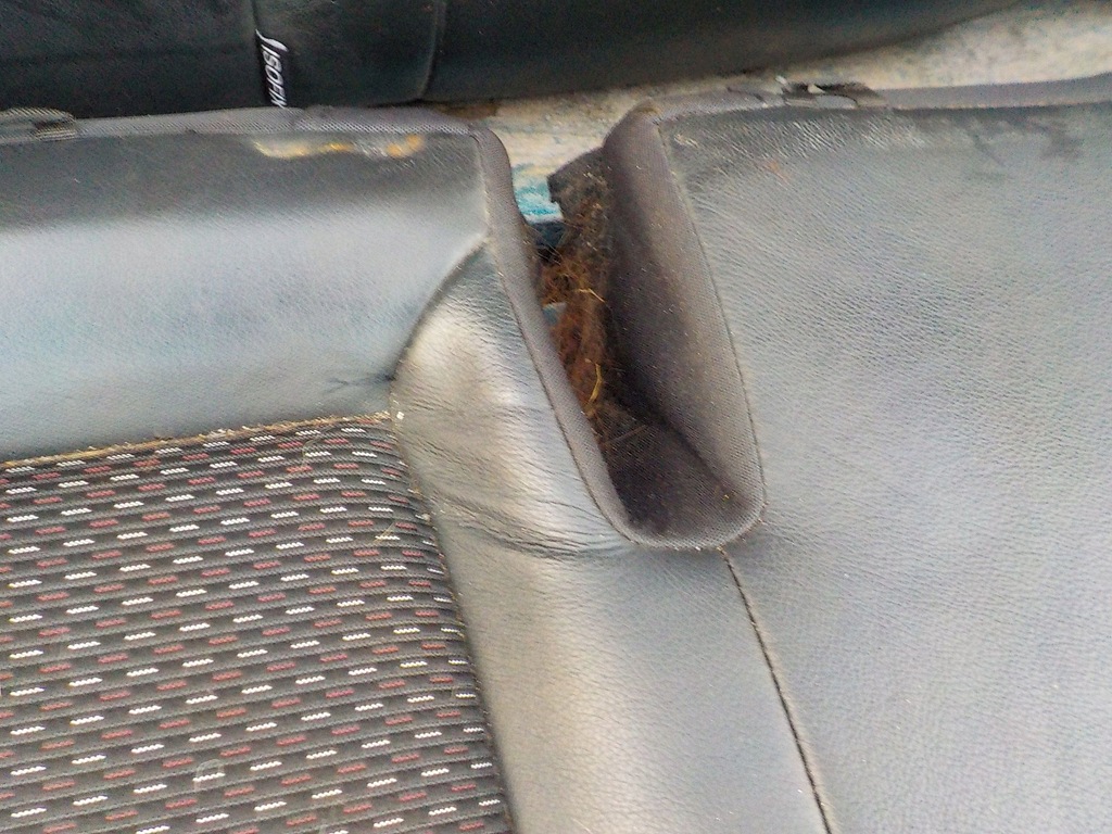 фото №7, Hyundai i30 09r hb 5d заднє сидіння задня задня