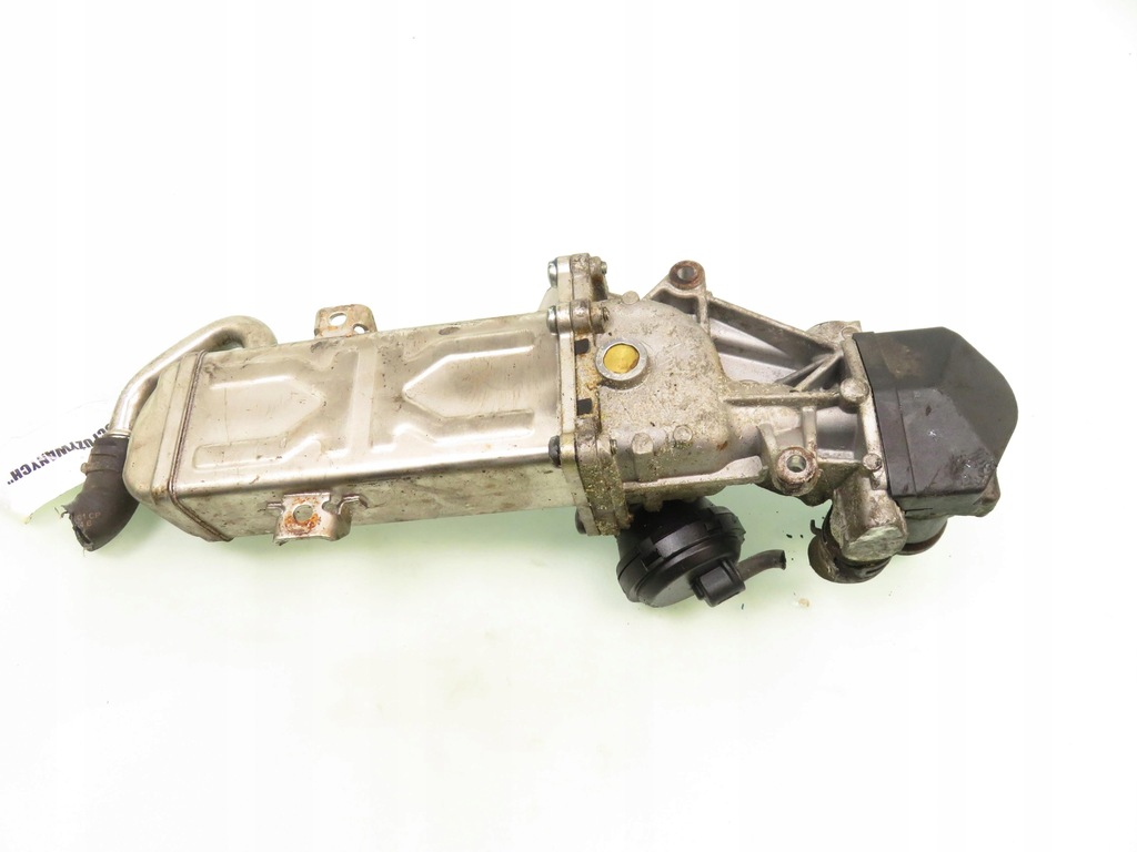 фото №5, Радиатор выхлопных газов vw jetta vi 1.6 tdi