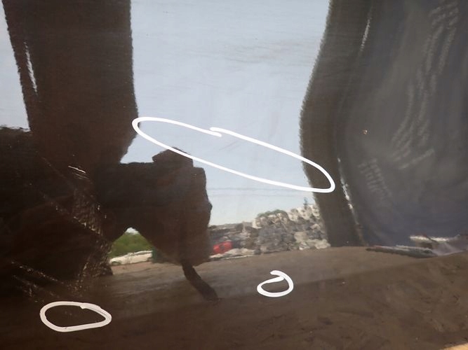 фото №6, Bmw g26 4 grand coupe двері ліва передні перед