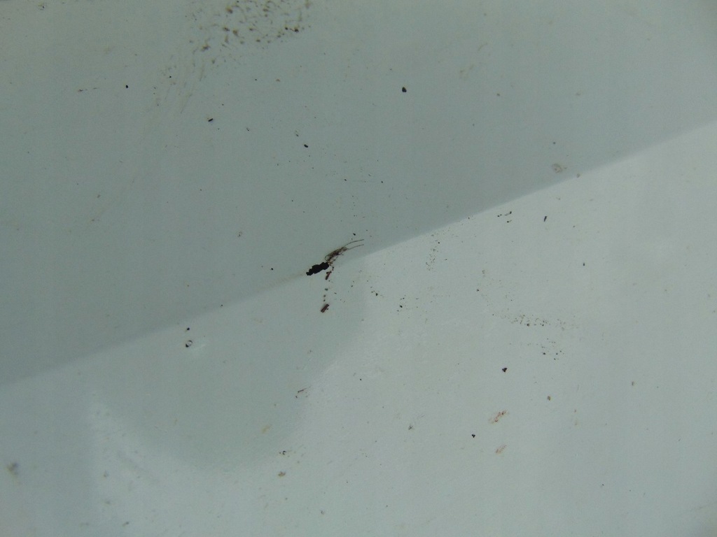 фото №9, Бампер перед skoda superb iii lift 3v0807221f