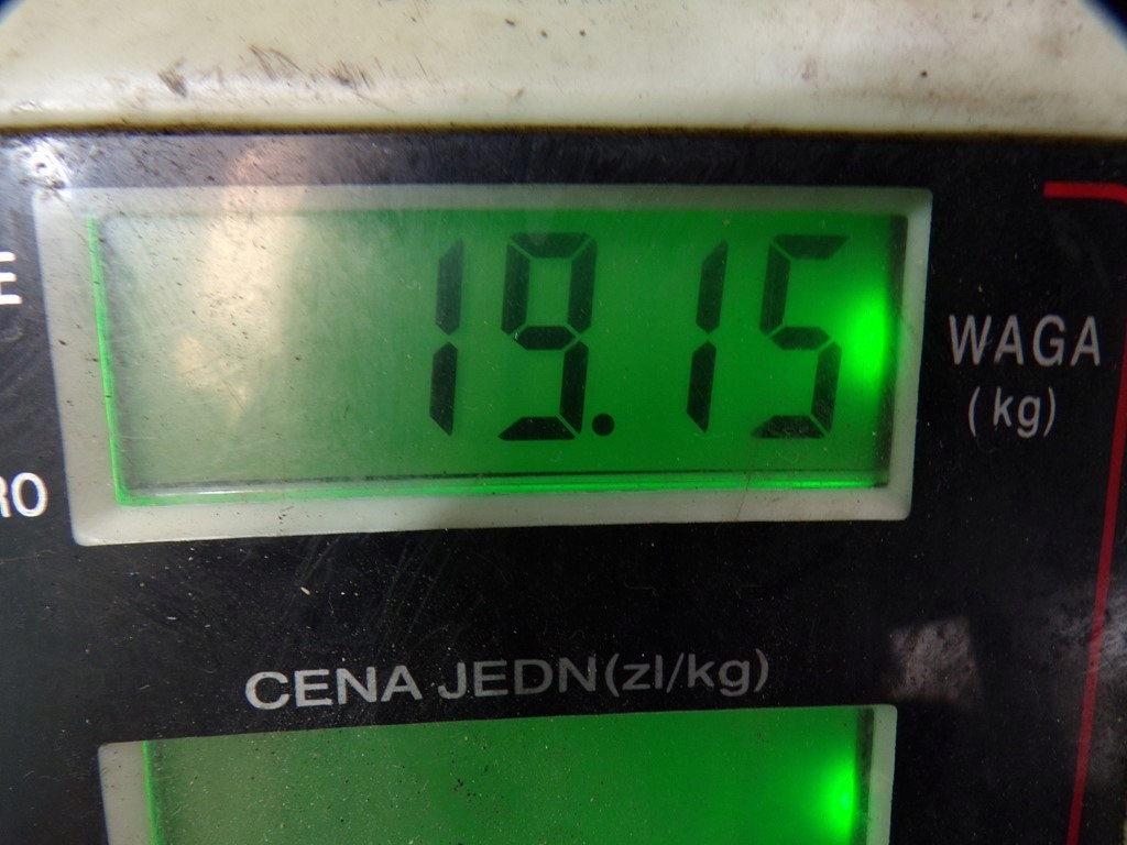 фото №15, Jaguar s-type 3.0 v6 головка двигуна rf1x4e6090bc