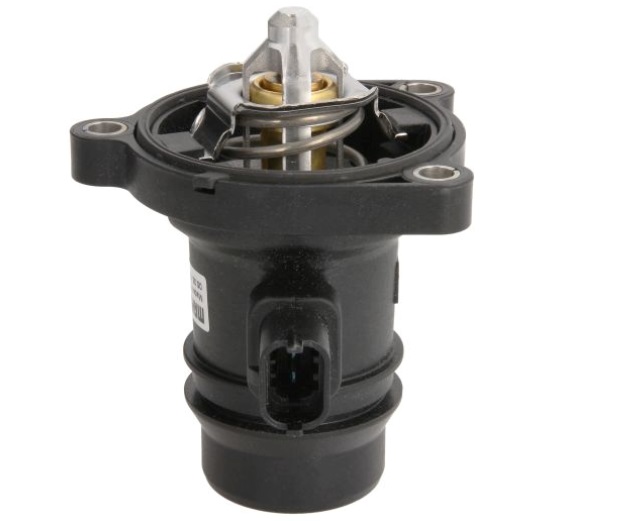 фото №2, Термостат