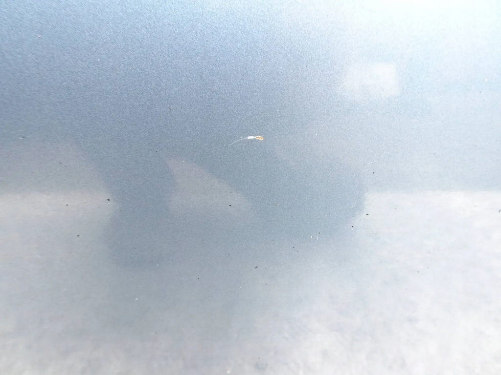 фото №6, Двері лівий перед mazda 6 gj 12-18r.