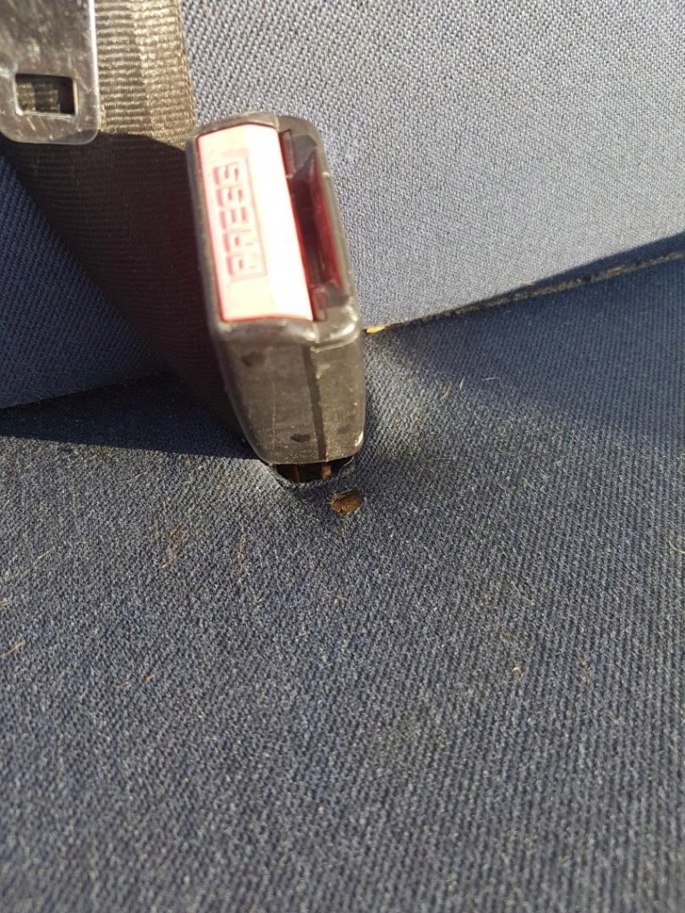 фото №4, Лавка сиденье anglik renault trafic ii