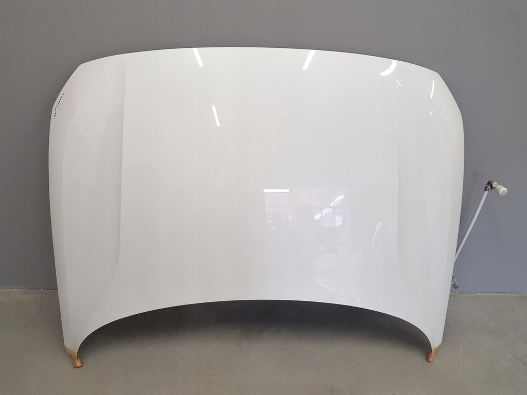 фото №1, Polestar ii капот