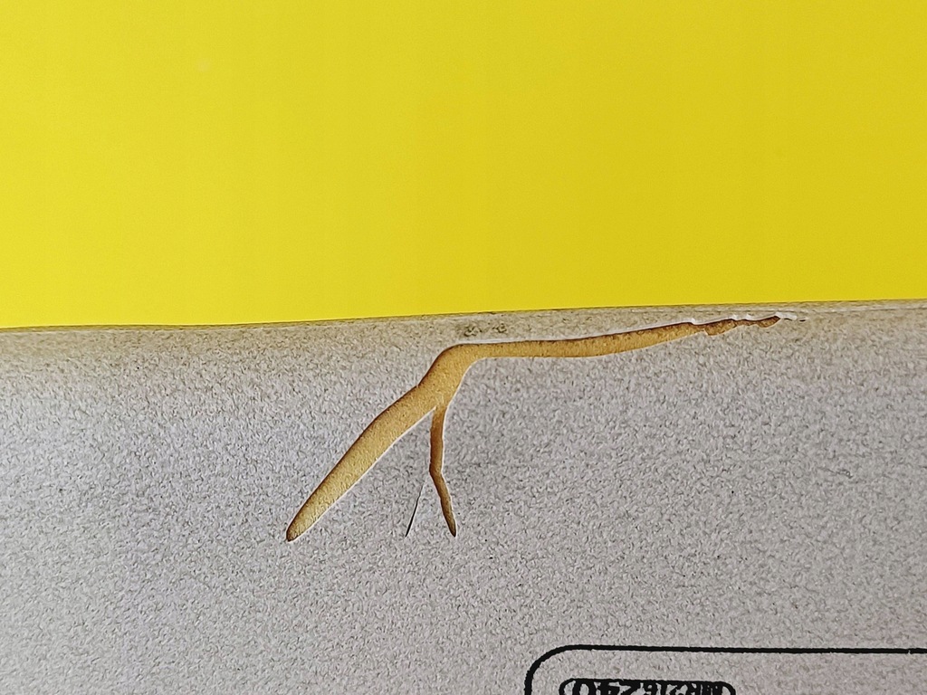 фото №5, Защита козырёк козырьки солнцезащитные mitsubishi carisma nr764 комплект