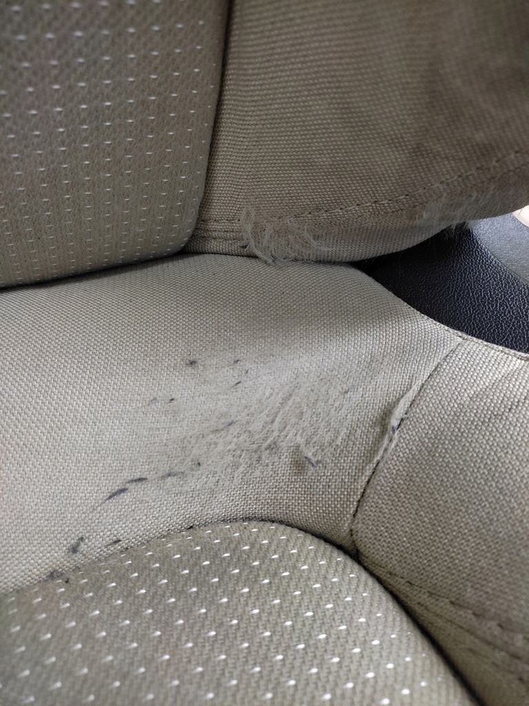 фото №7, Seat exeo kombi комплект сидінь перед задня