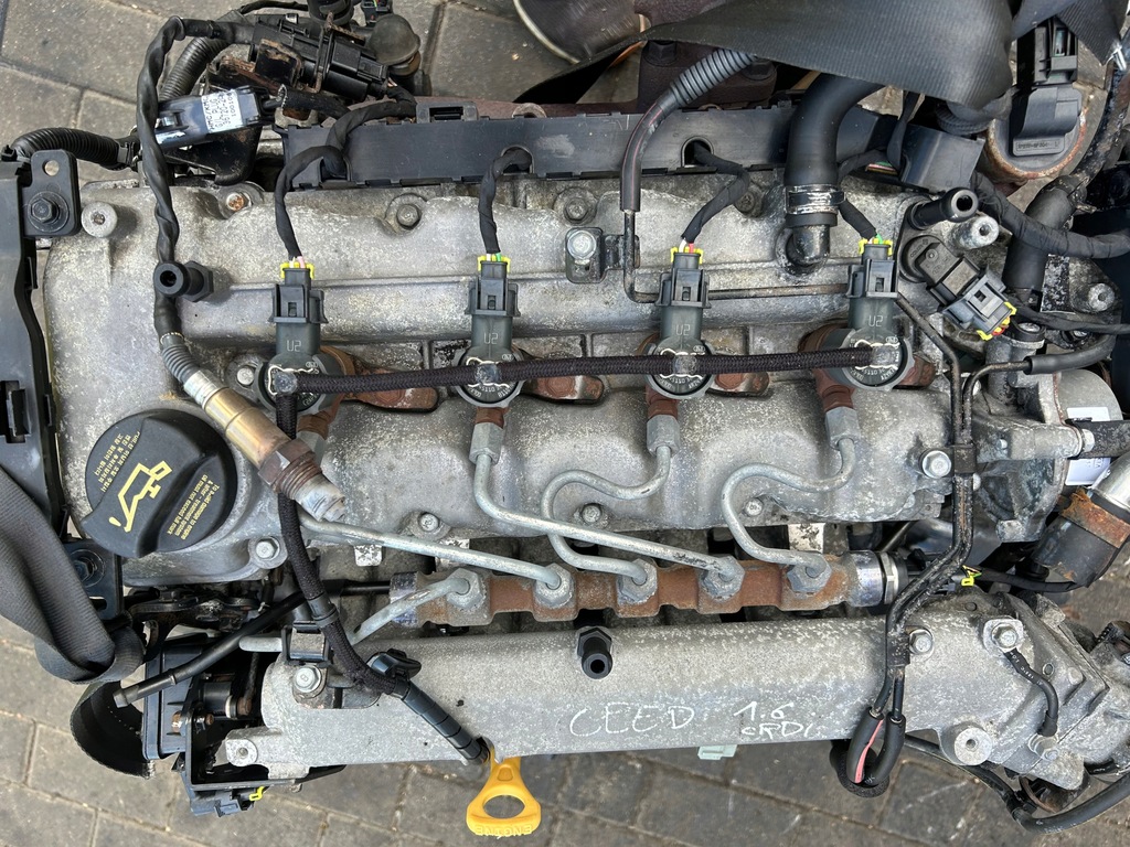 фото №10, Двигатель kompletny kia ceed i hyundai i30 1.6 crdi d4fb