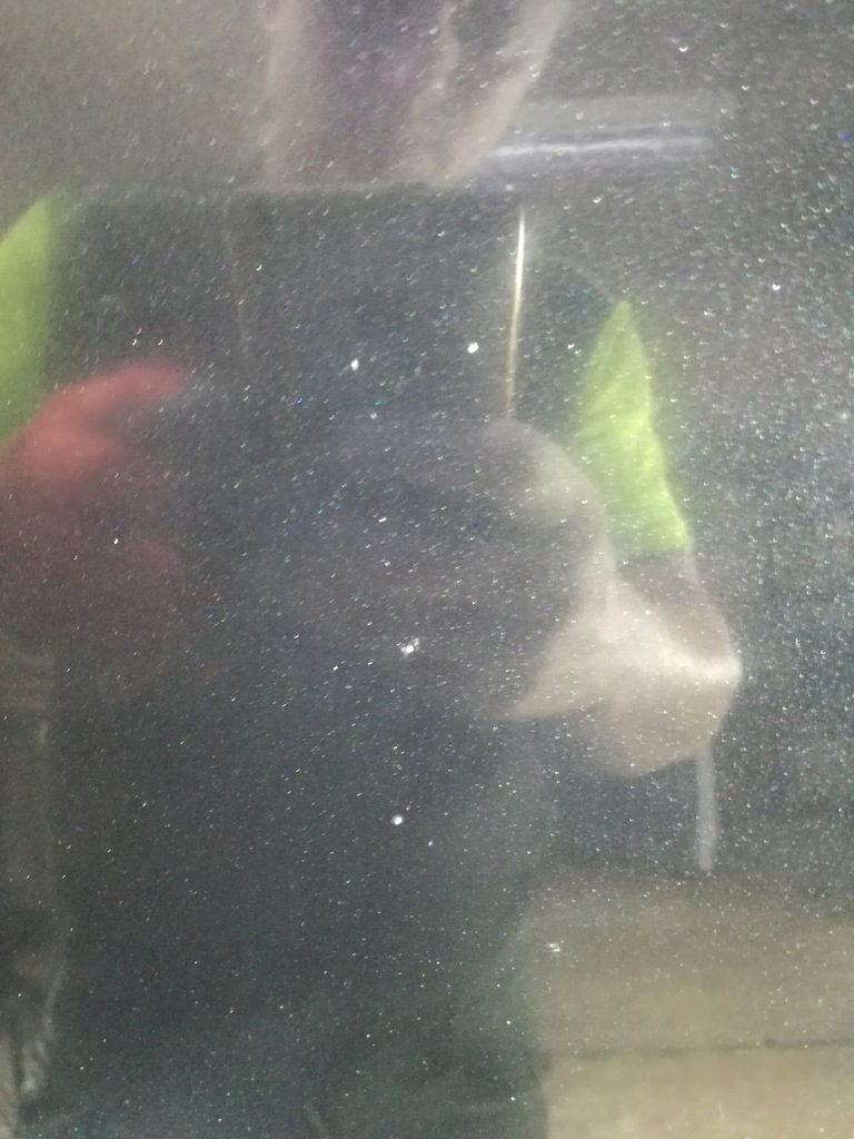 фото №6, Bmw 7 f01 f02 08/16 капот кришка кришка багажника шумоізоляція 475/9 blacksaphire