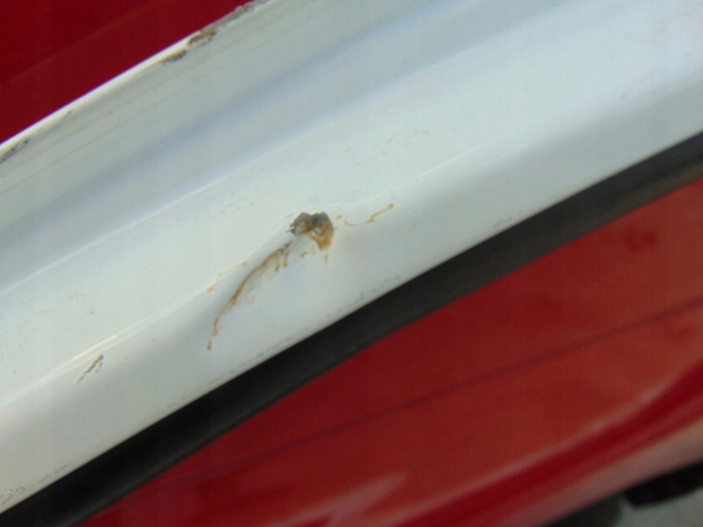 фото №15, Дверь правое перед partner berlingo iii ewpa