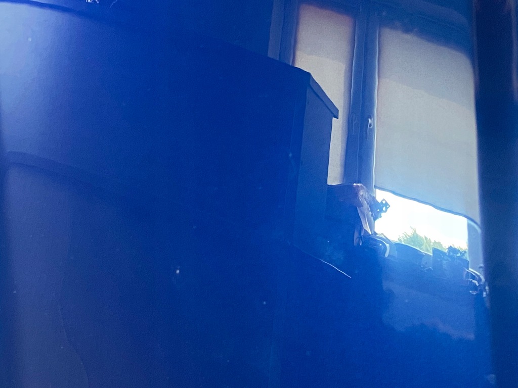 фото №4, Ford fiesta mk7 lift 2012-2017 капот перед deep impact blue оригинал