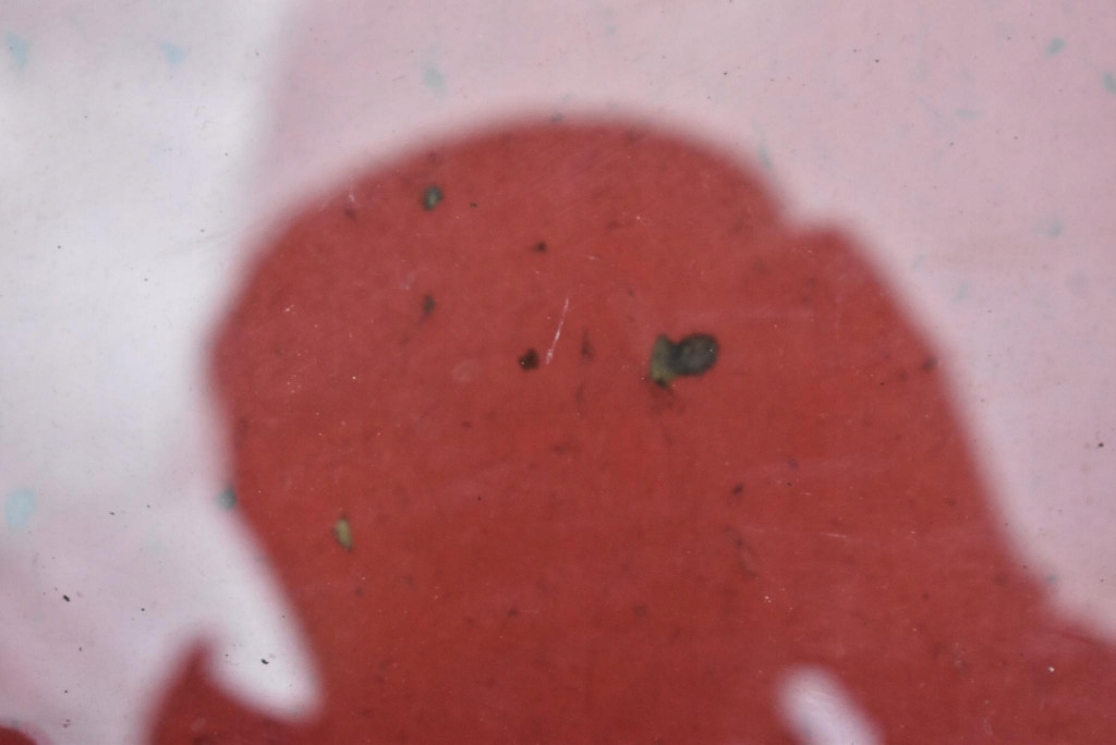 Скло бічна ліва перед передня tesla model y 20- Недорого