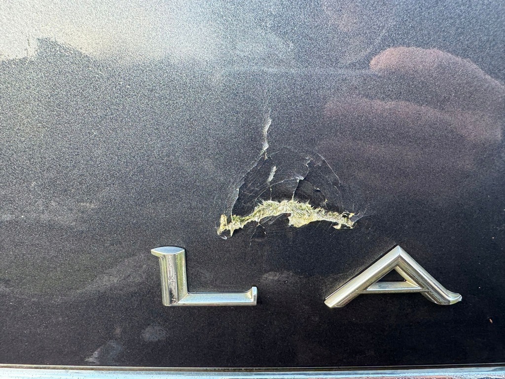 фото №8, Renault laguna iii кришка багажника багажника teb66