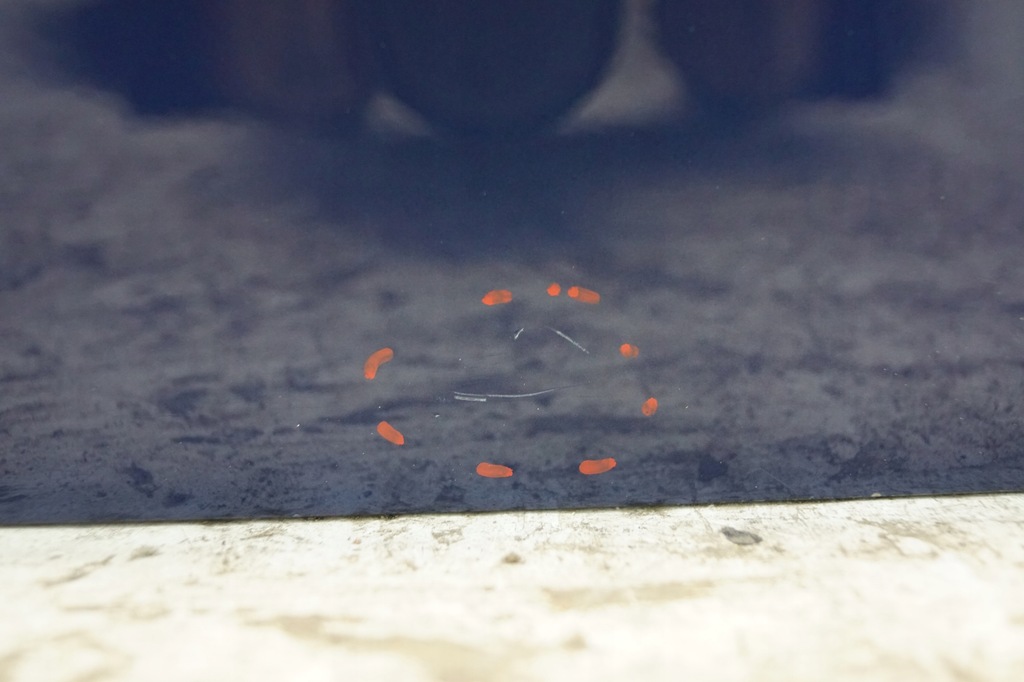 фото №6, Дверь правый перед bmw x3 e83 a07