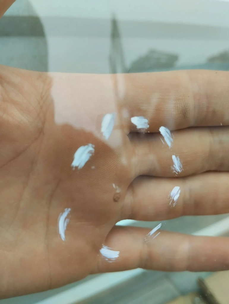 фото №13, Polestar 2 стекло перед передняя лобовое