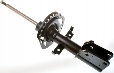 фото №2, Амортизаторы перед x2 renault espace iv 02- / vel satis 02-