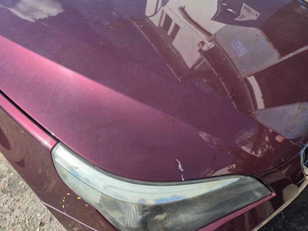 Капот bmw e60 barberarot a39/3 Київ