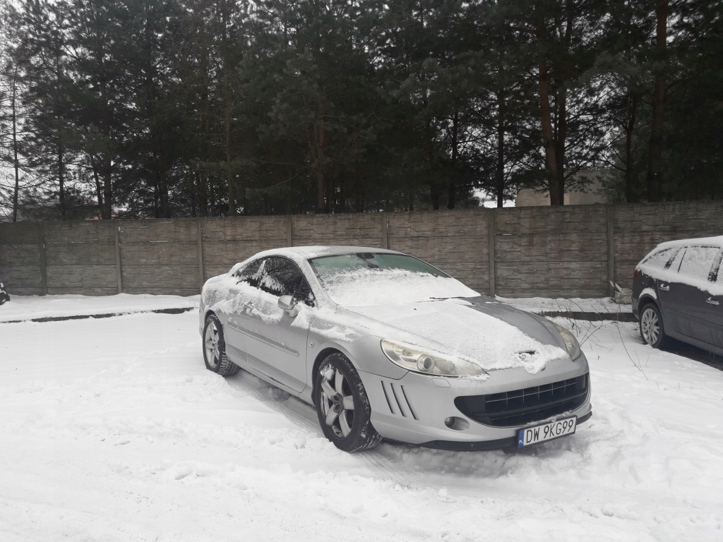 фото №3, Peugeot 407 coupe капот ezrc