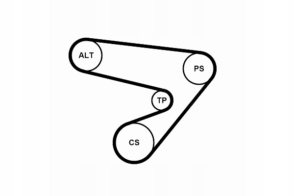 фото №2, Набор ремни многоручейковых с ролики opel agila astra g astra g