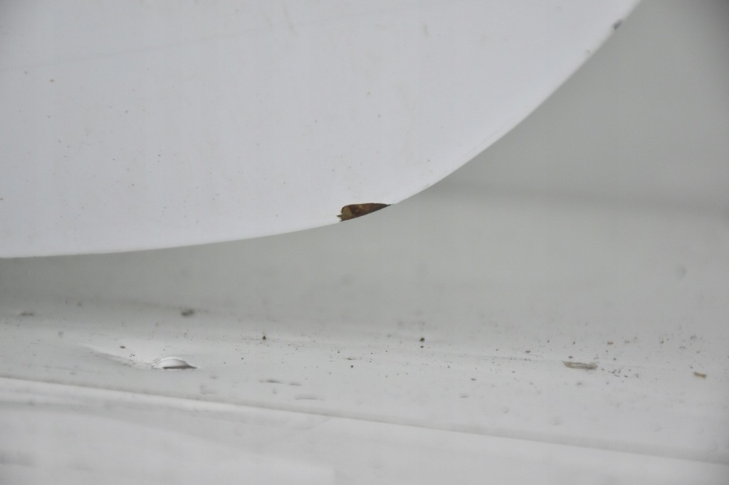 фото №9, Кришка багажника задня задня ford focus mk3 iii