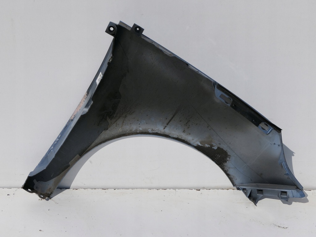 фото №9, Крила перед передній лівий scenic iii 3 terpa