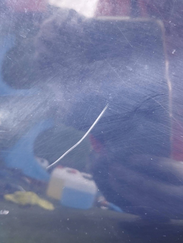 Крило правий перед передній fiat grande punto evo Київ