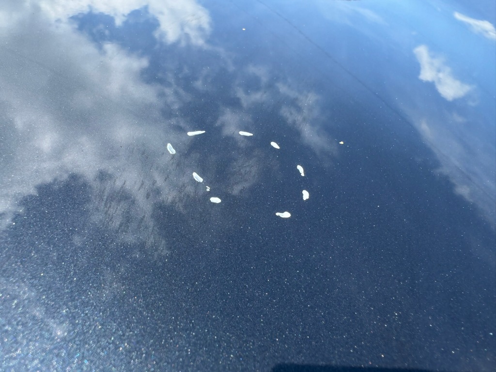 Капот передняя крышка двигателя renault megane 3 3 08- lak: teb66 130um Цена