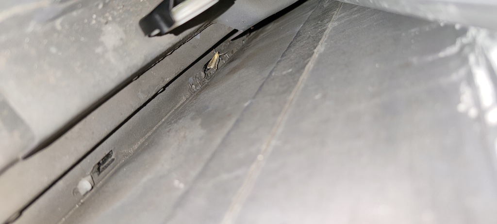 фото №16, Mercedes w211 дверь задние левая sedan 544