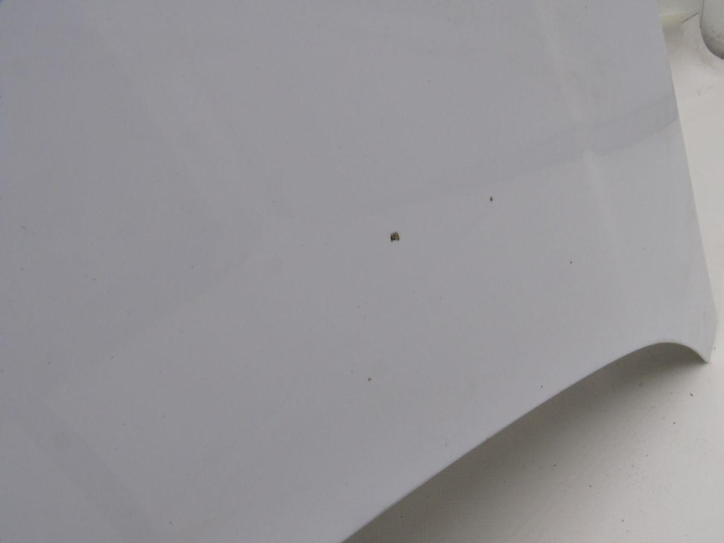 фото №7, Ford focus mk3 10-14 капот frozen white