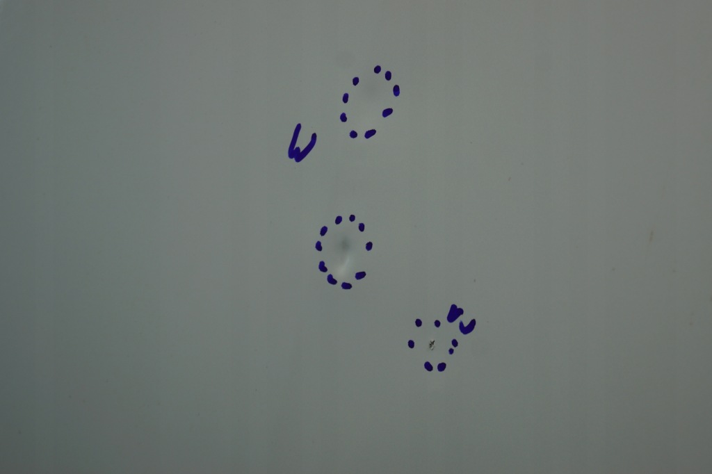 Капот крышка двигателя renault megane 3 кабриолет  teqnc Доставка