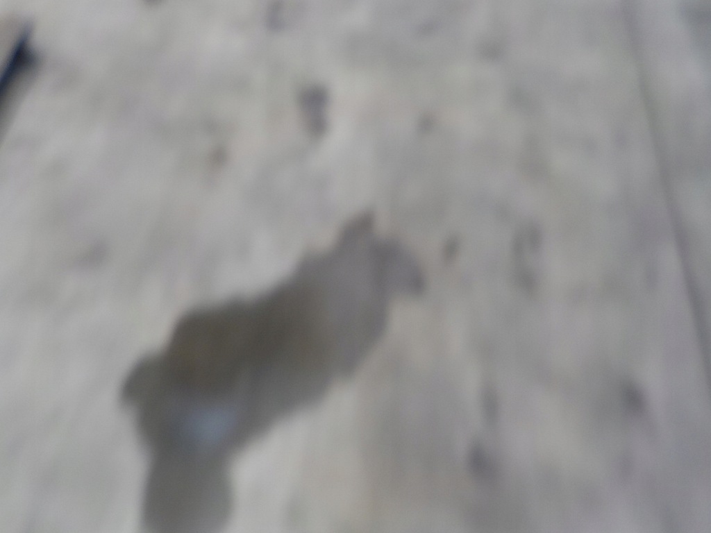 фото №5, Trafic iii vivaro b обмежувач двері задня