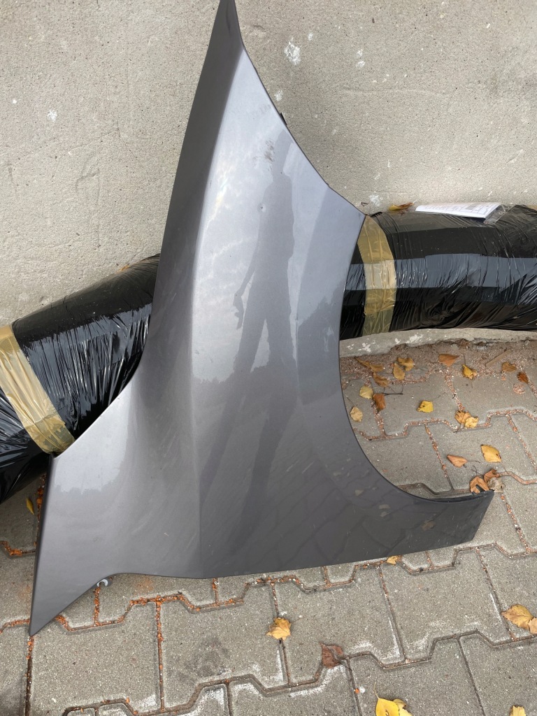 фото №1, Крила megane iii cabrio tekng