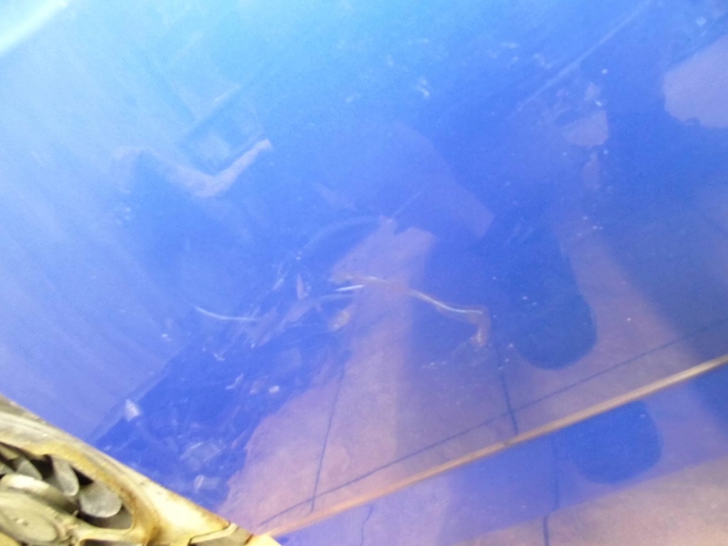 фото №6, Opel agila a 1.2b 02' дверь правый перед z291