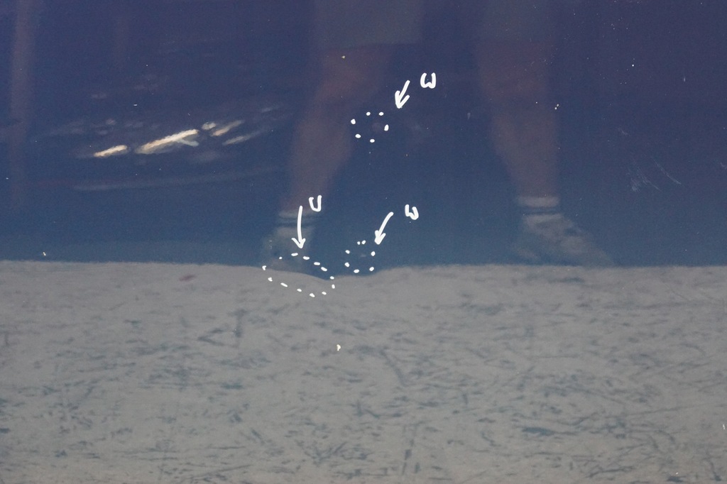 фото №9, Дверь левый перед ford mondeo mk4